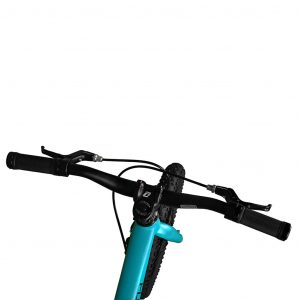 Forth 16 X1 Pedal Bike - Minty Fresh - controls